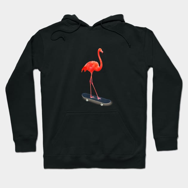 Skateboarding Flamingo Hoodie by DavidLoblaw